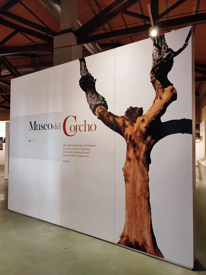 MUSEO DEL CORCHO