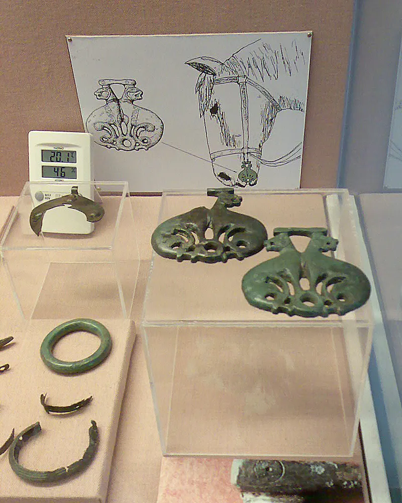 MUSEO DO CASTRO DE VILADONGA