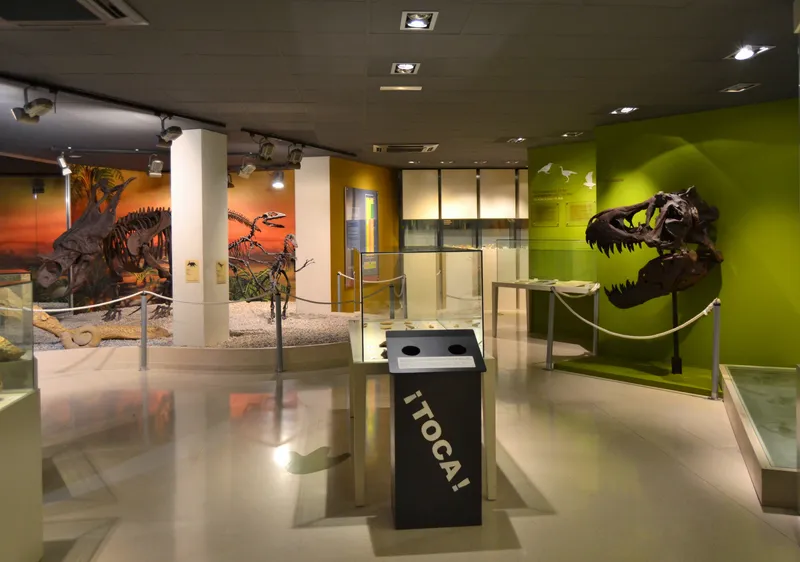 MUSEO PALEONTOLÓGICO DE ELCHE