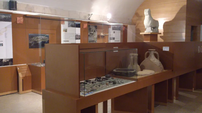 MUSEU ARQUEOLÒGIC D'ONTINYENT I LA VALL D'ALBAIDA
